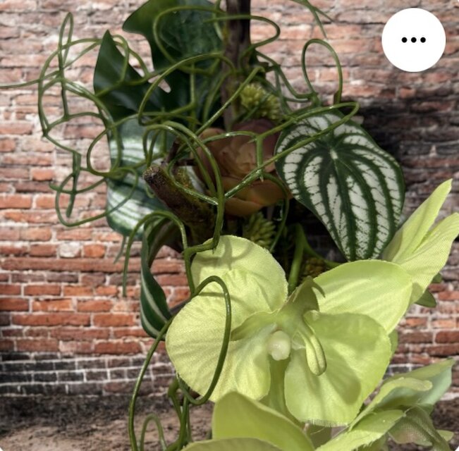 光触媒 人工観葉植物 ウォールグリーン フェイクグリーン リアル胡蝶蘭