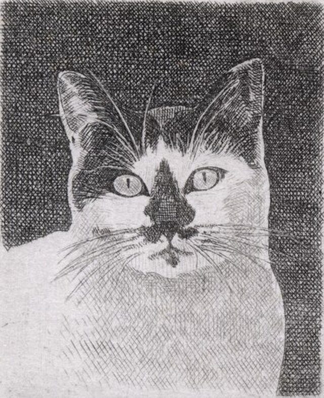 黒い鼻の猫 / 銅版画 (作品のみ） | iichi 日々の暮らしを心地よくする