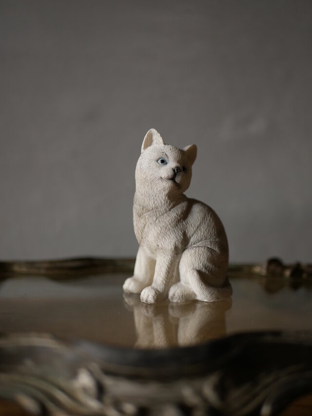 白い猫 Chat Blanc フランスヴィンテージ ブロカントのある暮らし