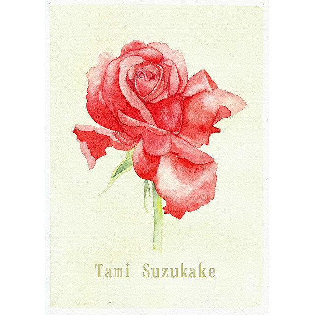 水彩画・原画「薔薇の花」 | iichi 日々の暮らしを心地よくする