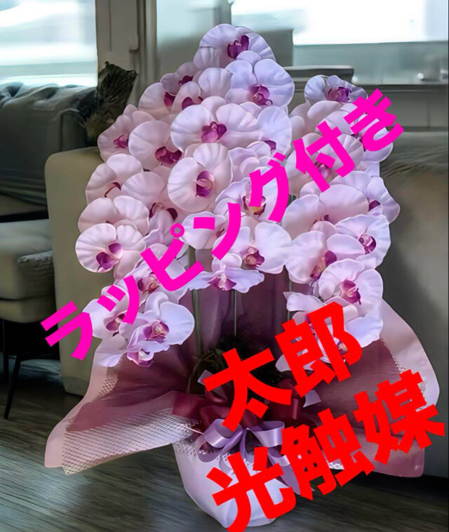 光触媒 人工観葉植物 ウォールグリーン フェイクグリーン 胡蝶蘭7845