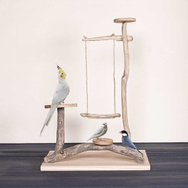 流木の止まり木【バードランドの子守歌】バードスタンド、止まり木