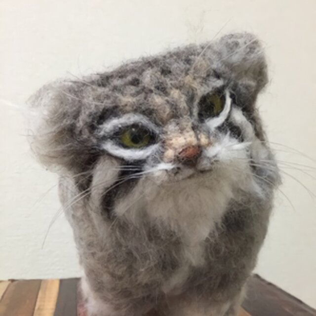 羊毛フェルトのマヌルネコ 歩いているポーズ | iichi 日々の暮らしを