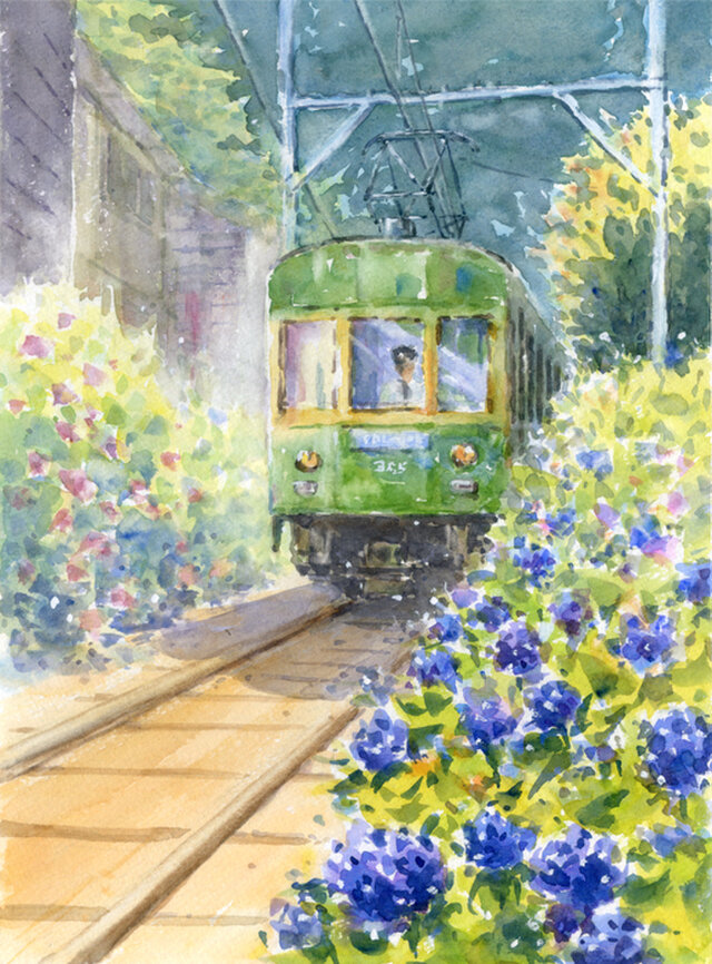 注文制作します 水彩画原画 あじさいと江ノ電 ＃510 | iichi 日々の