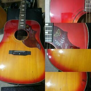 CANDA 202 ハミングバード タイプ 70年代 ペグ新品交換済み フジゲン