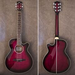 Stafford 楽器の中古が安い！激安で譲ります・無料であげます｜ジモティー