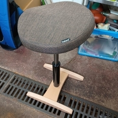 バランスシナジーの中古が安い！激安で譲ります・無料であげます