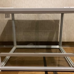 爬虫類倶楽部の中古が安い！激安で譲ります・無料であげます｜ジモティー