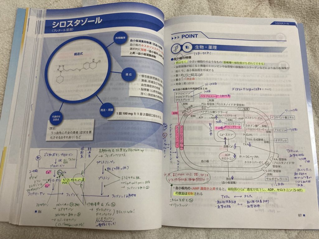 合格者体験記】薬剤師の国試対策！ 「なんでもノート」を使った勉強法