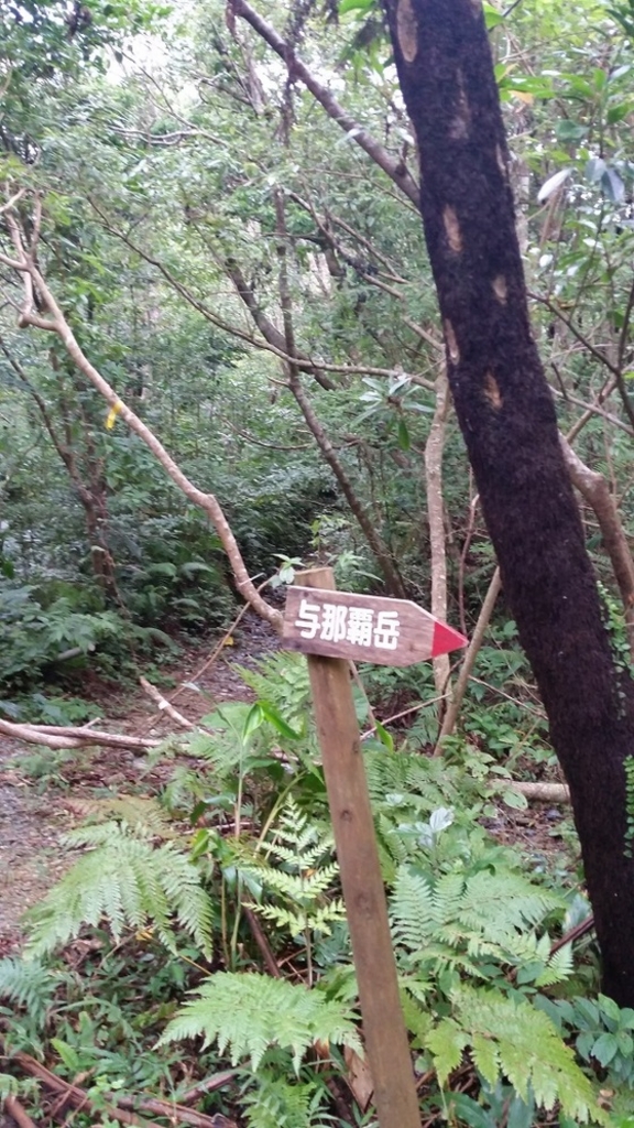 国頭村（国頭郡）の山岳ランキングTOP1 - じゃらんnet