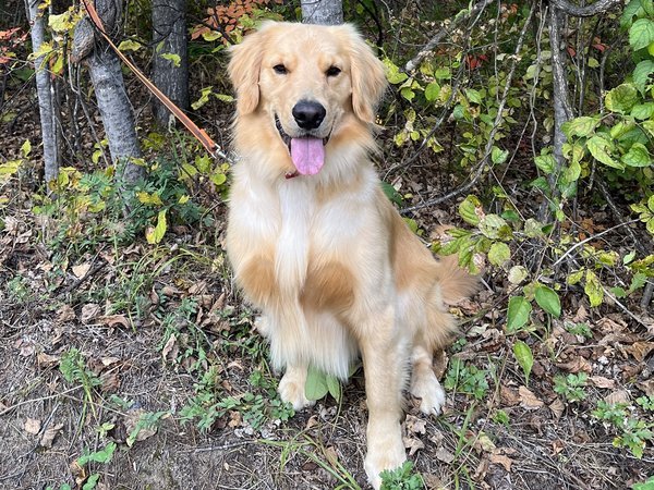 岩根山荘 - 宿泊予約は＜じゃらんnet＞