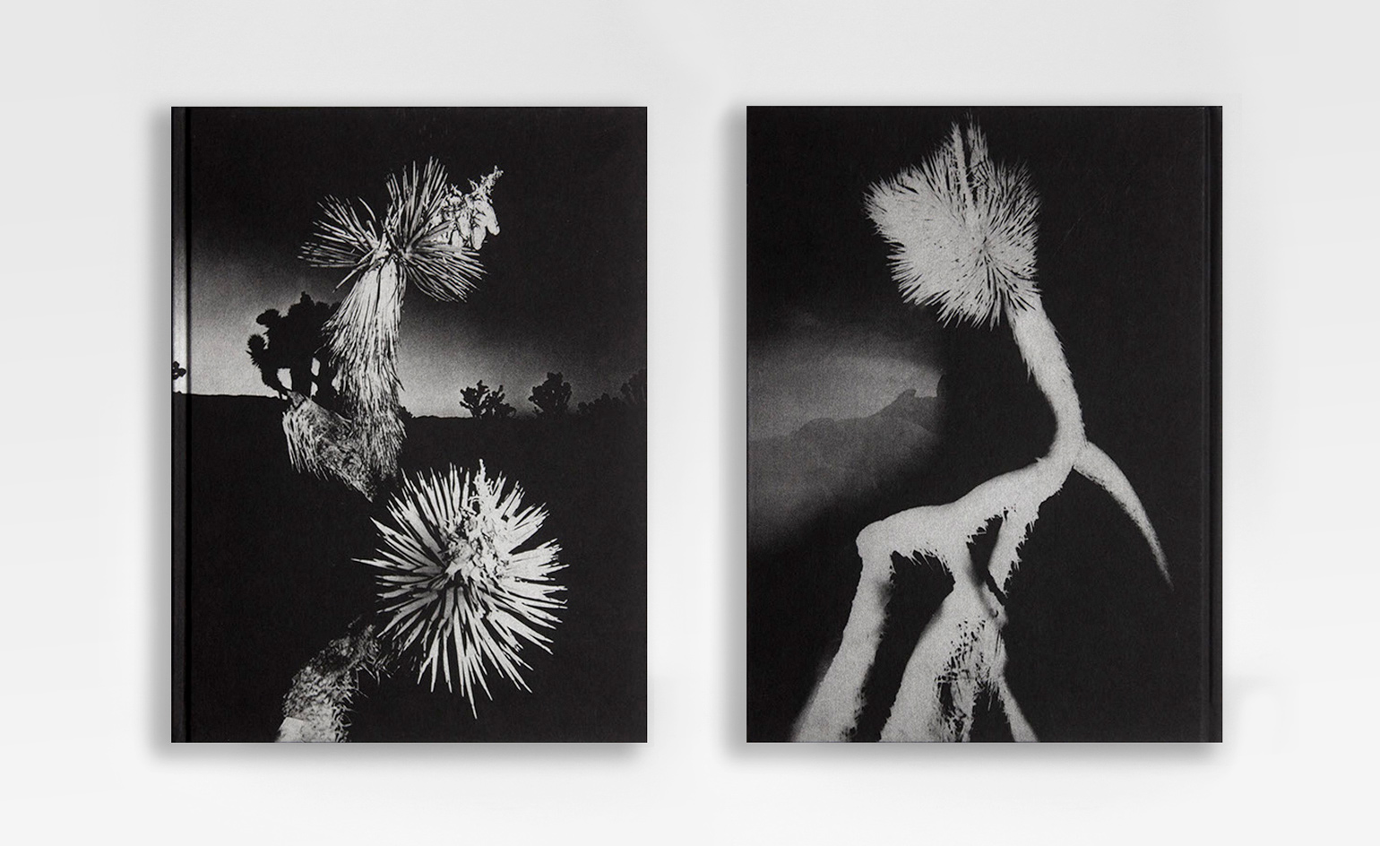 Chris Shaw reimagines Joshua Tree in new photobook | Wallpaper*