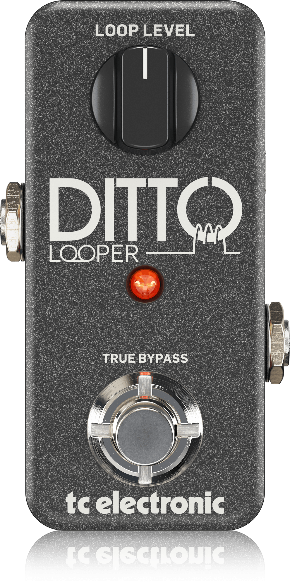 TC Electronic | Product | DITTO LOOPER