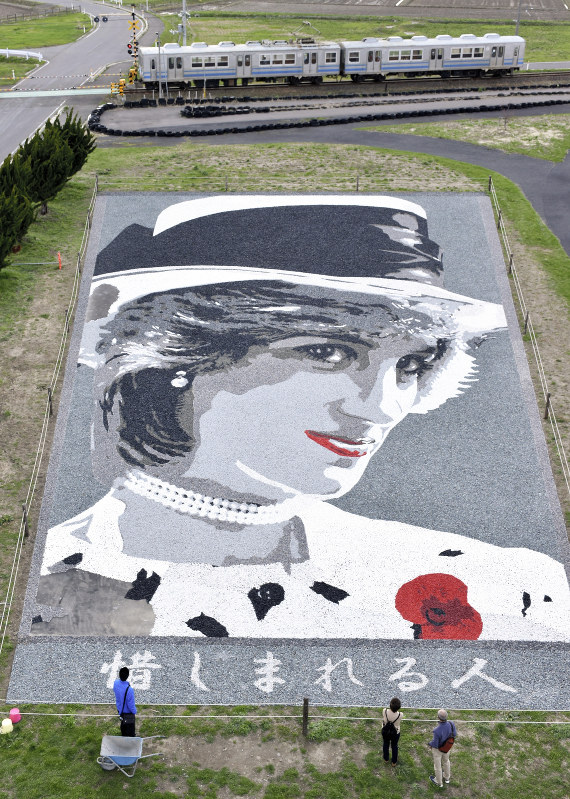 石のアート：故ダイアナ元妃を鮮やかに | 毎日新聞