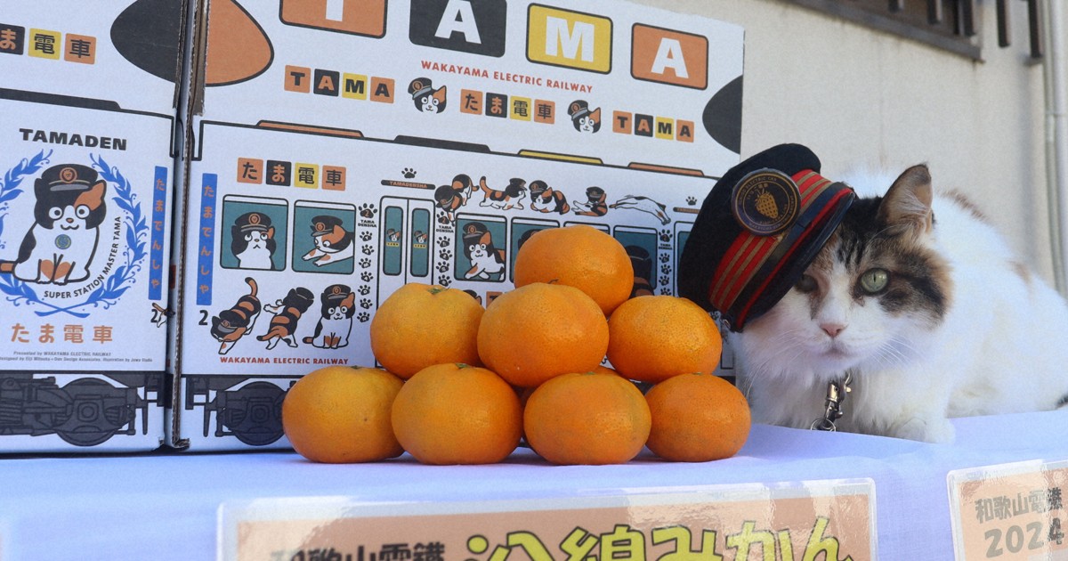 猫駅長がPR「甘さ保証しますニャー」 和歌山電鉄がミカン販売 | 毎日新聞