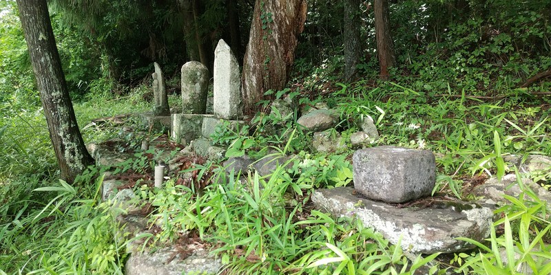 八つ墓村」は元々「七つ」？ 横溝正史作品の謎追った元記者に聞く