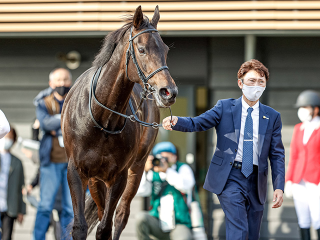 JRA】藤沢和雄厩舎からの転厩馬一覧、46頭中33頭が蛯名正義厩舎へ