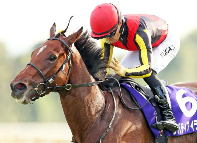 秋華賞】リバティアイランドの髪飾りは松崎助手の奥さんの手作り 黄色