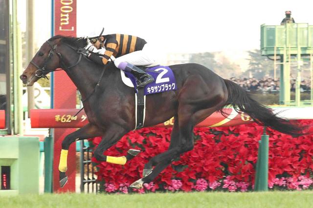 セレクトセール2025】キタサンブラック産駒の1歳上場馬11頭すべての億