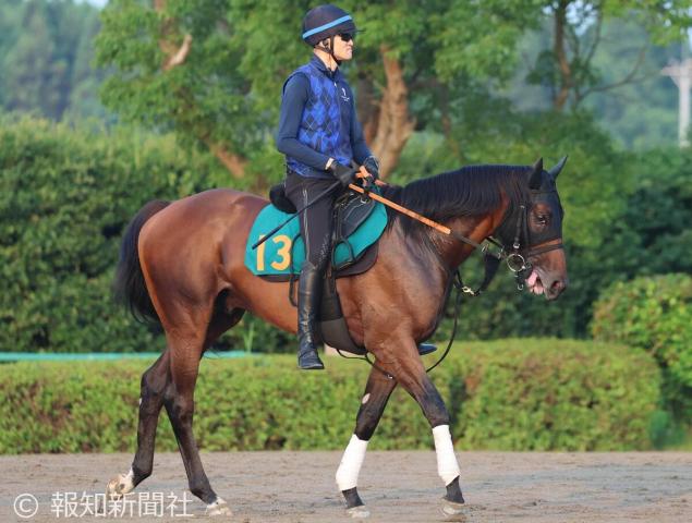 ルヴァンスレーヴのニュース・最新情報 | 競馬まとめ - netkeiba.com