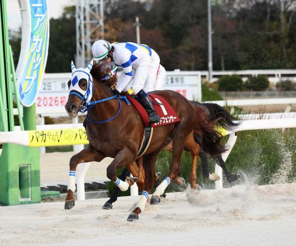 ルヴァンスレーヴのニュース・最新情報 | 競馬まとめ - netkeiba.com