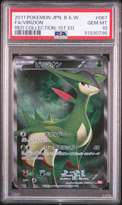 センパイとコウハイ SR :1ED [XY5-G 077/070](拡張パック「ガイア