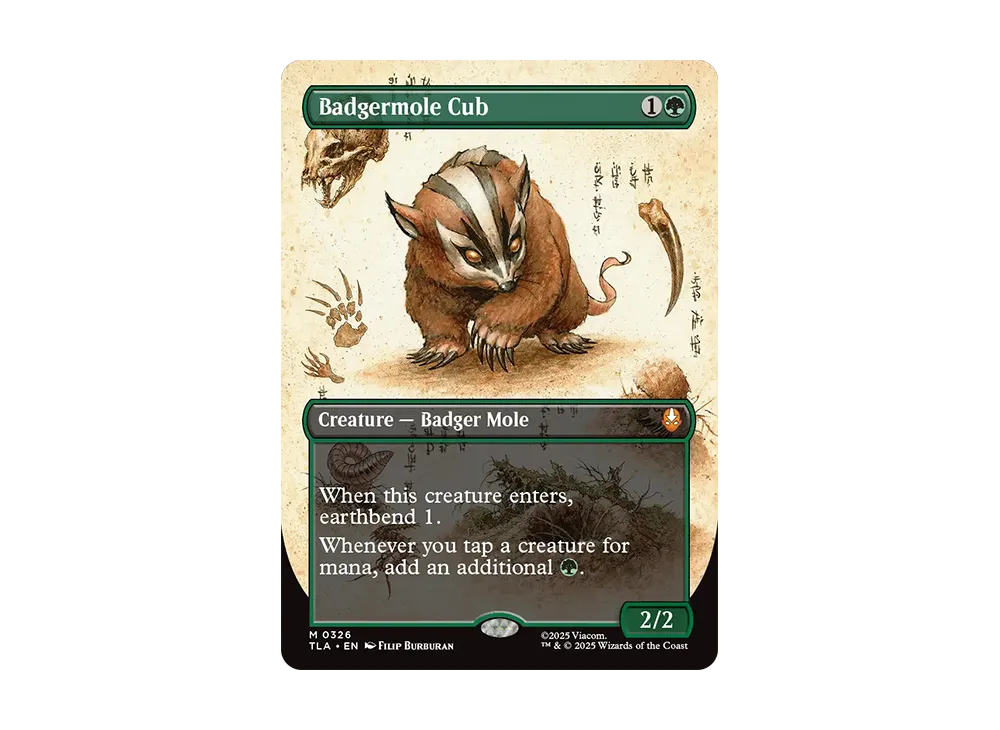 アナグマモグラの仔 英語 アナグマモグラの仔/Badgermole Cub (全面