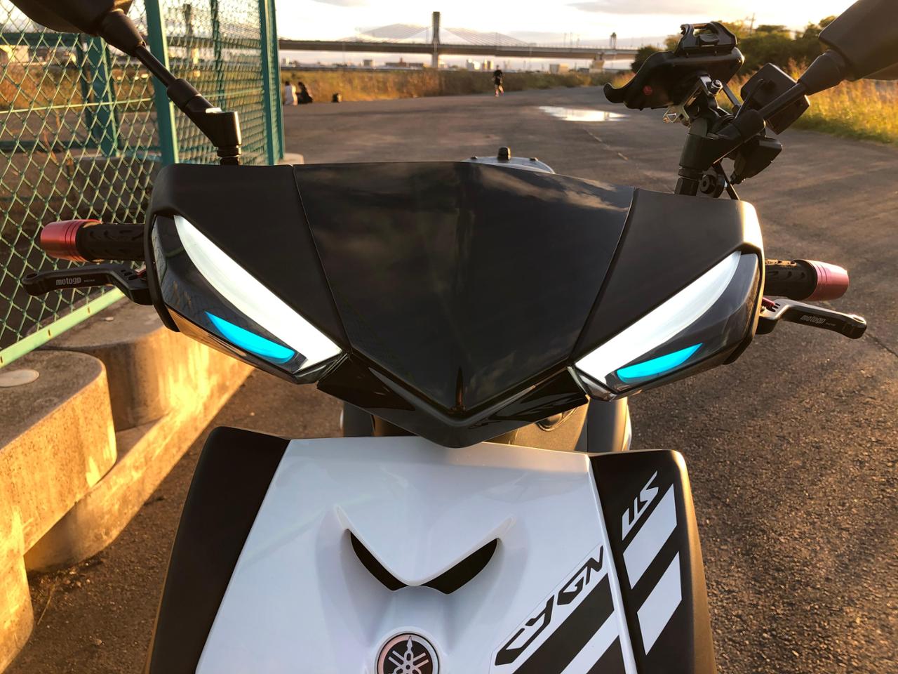 スペシャルパーツ武川 LEDフロントウインカーキット スモークレンズ