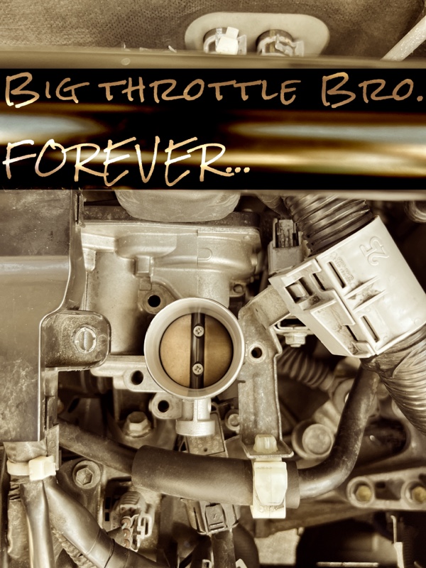 ビグスロニキの魂(RRP ビッグスロットル)取付（スズキ アルトワークス