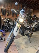 リアサスペンションメンテナンス（ヤマハ セロー250ファイナル