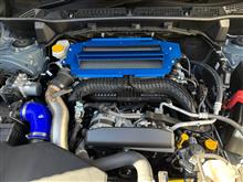 zero sports クールアクションⅡコンプリートセットに関する情報まとめ