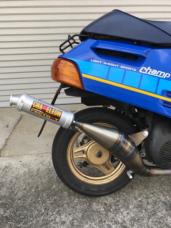 カメレオンファクトリー パラライザー3 のパーツレビュー | チャンプRS