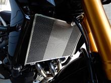 エッチングファクトリー MT-09(21~)用 ラジエターコアガード RGY-MT09