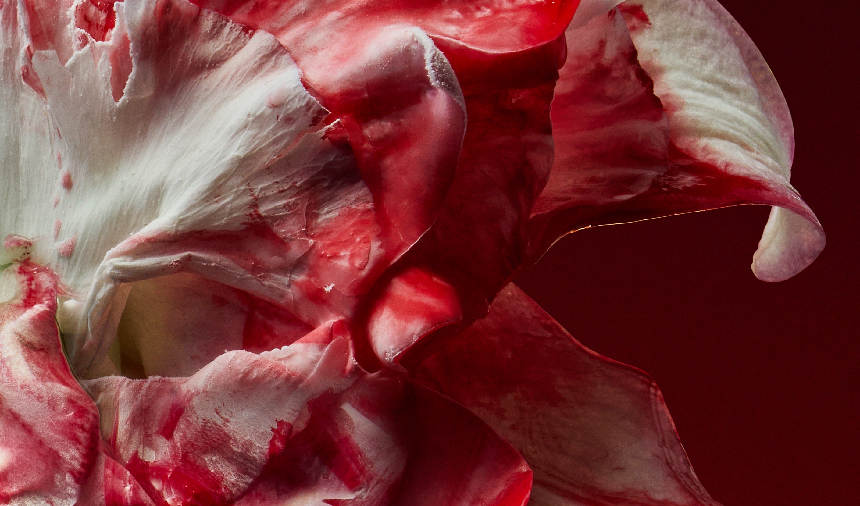 エクストレ ドゥ パルファンコレクションに、⼆つの魅惑的な新作