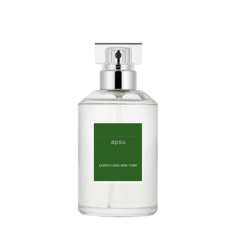 UlrichLangNewYork_APSU_2_large