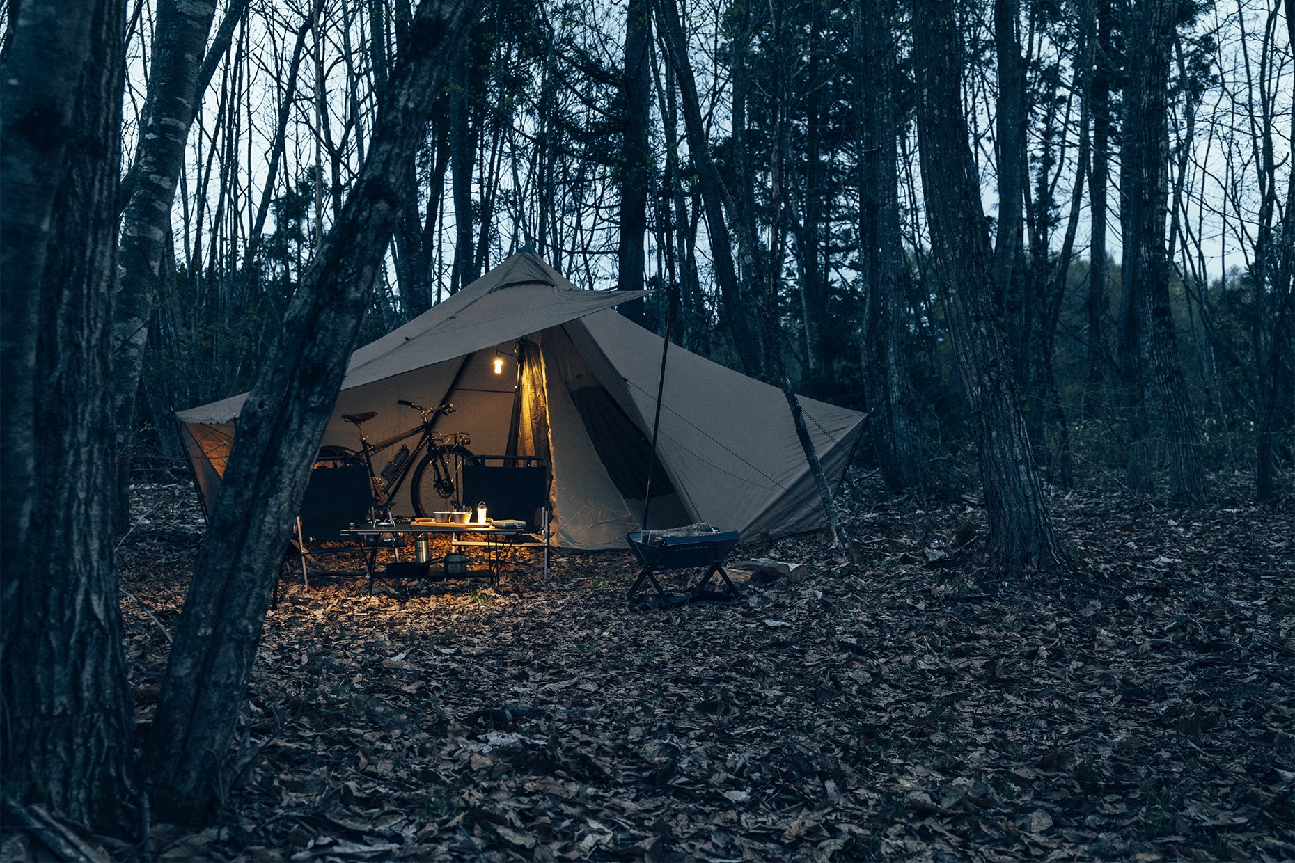 GIGI-1 | PRODUCTS | ZANE ARTS