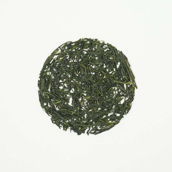 OT-40-1-_1_600x600.jpg?v=