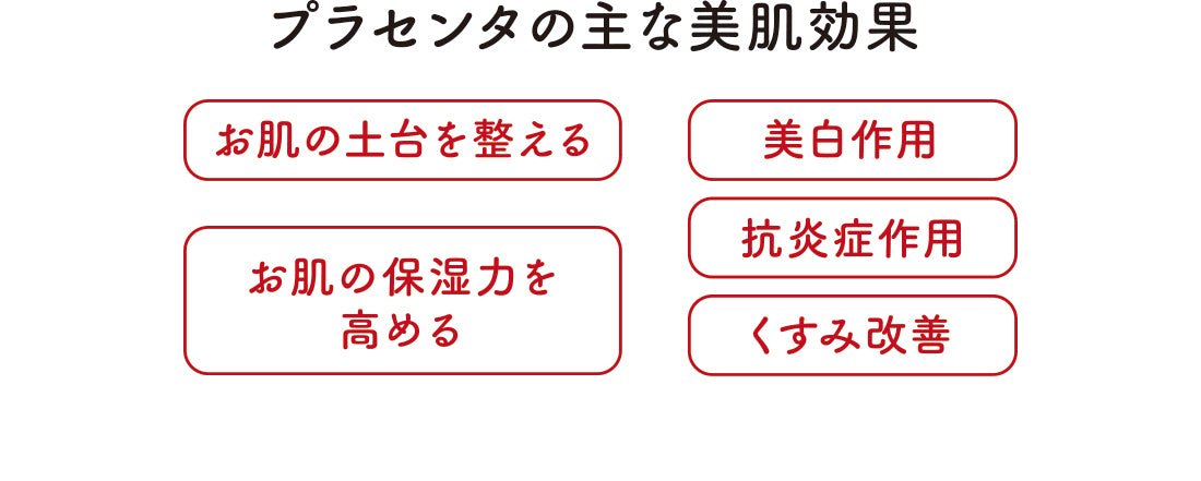 初回限定]フォースキン – 粋オンラインストア