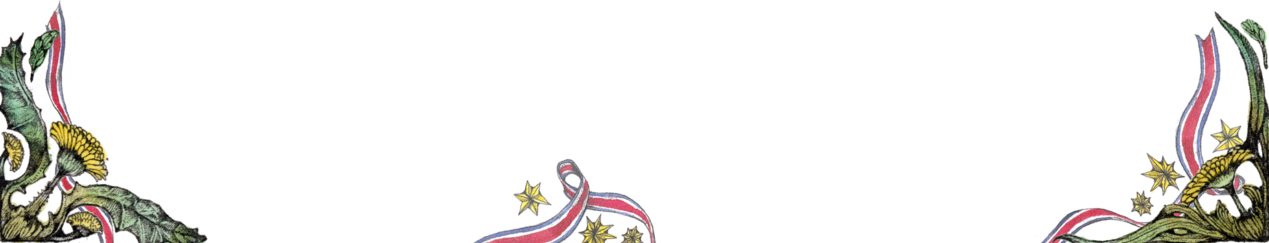 DVD キューライス・坂元友介作品集 – ボリス雑貨店