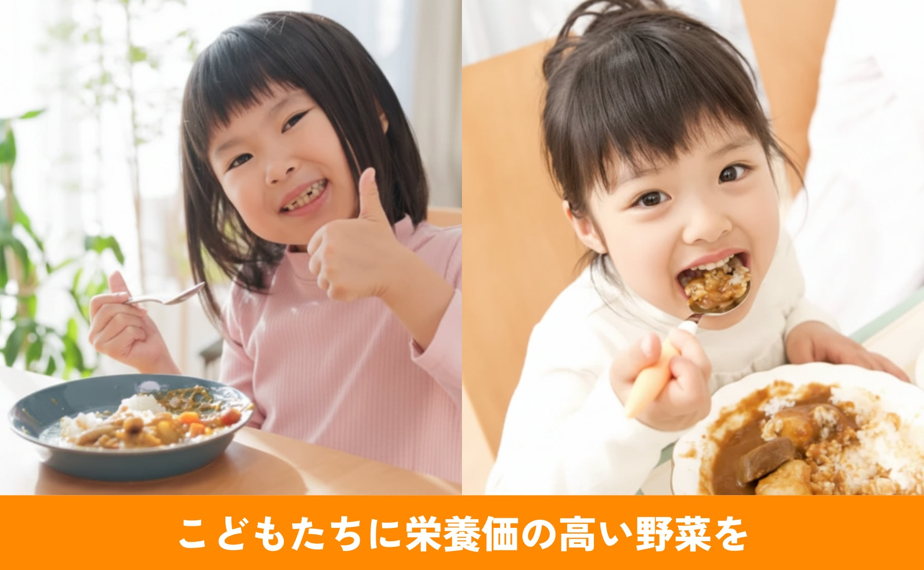 カレーがつなぐ子どもたちの未来と音更の農業 - こどもふるさと便