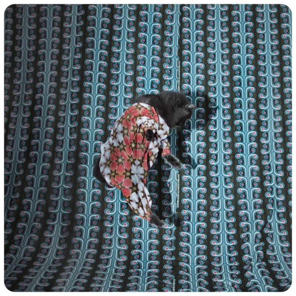 CRISTINA DE MIDDEL: THE AFRONAUTS – Daylight Books