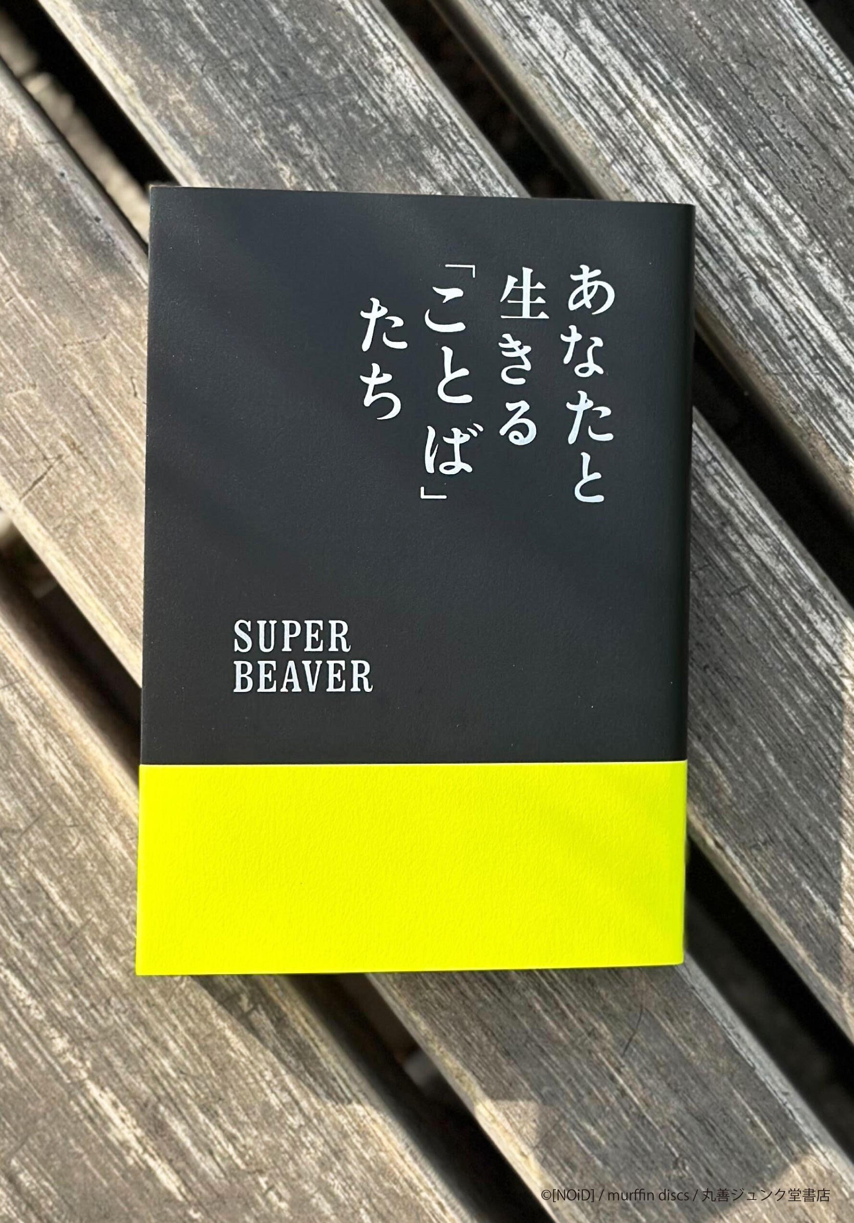 SUPER BEAVER - あなたと生きる「ことば」たち – 丸善ジュンク堂書店
