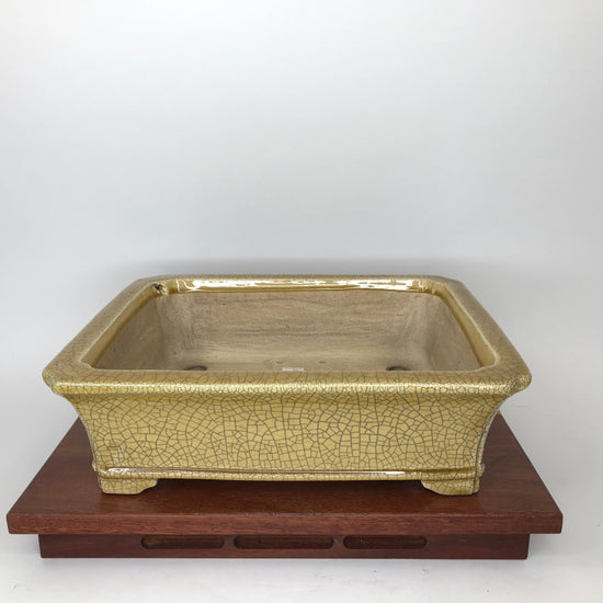 Large Pots – Bonsai Island