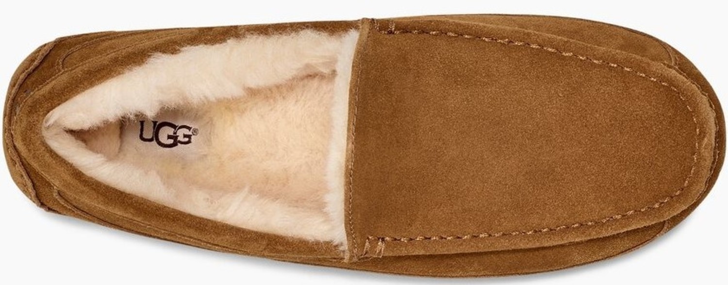 UGG Men's Ascot Chestnut Slipper - Continental Shoes