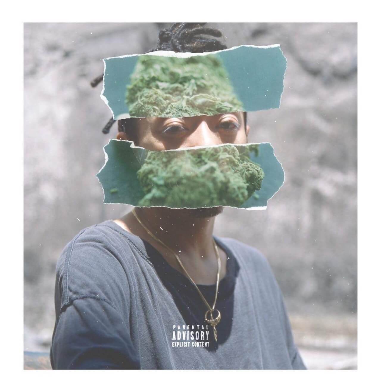 RUDEBWOY FACE、レゲエとローファイを融合した最新EP『JAM DOWN』を