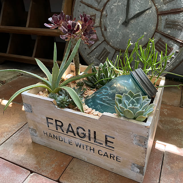 鉢植え ドライガーデンのおすすめ商品とおしゃれな実例 ｜ RoomClip