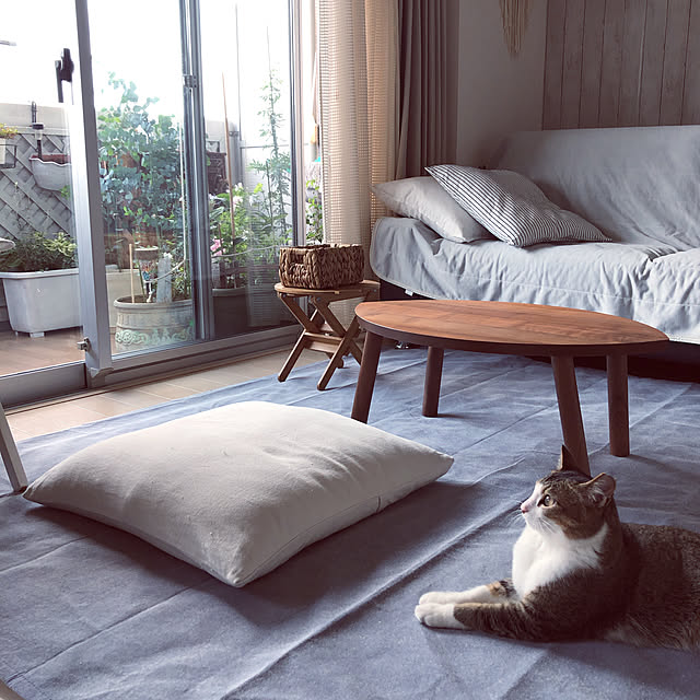 IKEA イケア ネストテーブル2点セット ウォールナット材突き板