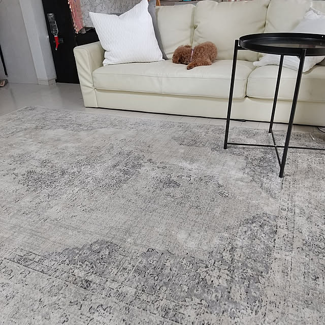 ZARA HOMEラグのおすすめ商品とおしゃれな実例 ｜ RoomClip（ルーム