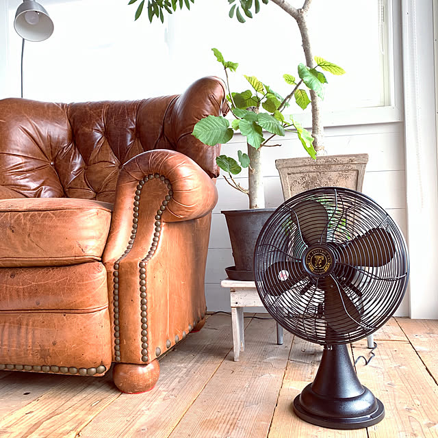 journal standard Furniture ジャーナルスタンダードファニチャー JSF