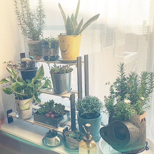 巨神兵プランター☆のおすすめ商品とおしゃれな実例 ｜ RoomClip